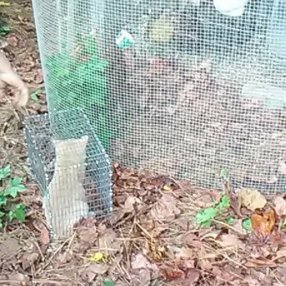 Meet your Posher, Jess - Picture 1 of 1